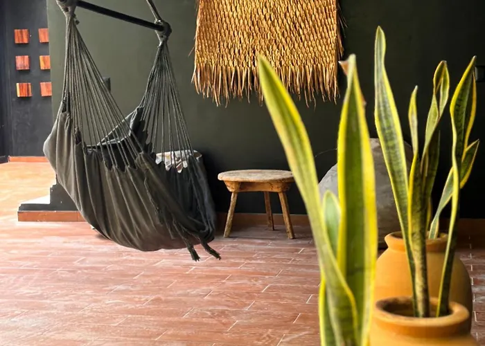 Miel 14 Tulum