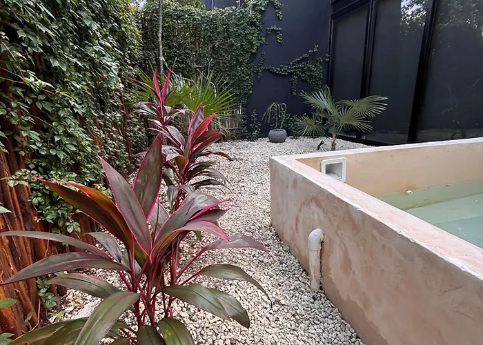 Villa Miel 14